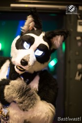 BFD10 0653 von Wachhund