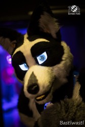 BFD10 0654 von Wachhund