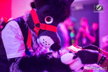 BFD10 0683 von Wachhund