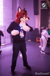 BFD10 0698 von Wachhund