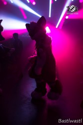 BFD10 0699 von Wachhund