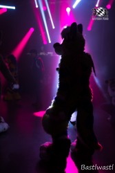 BFD10 0700 von Wachhund