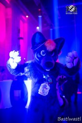 BFD10 0717 von Wachhund