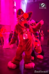 BFD10 0719 von Wachhund