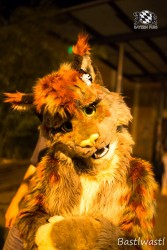 BFD10 0731 von Wachhund