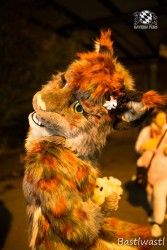 BFD10 0732 von Wachhund