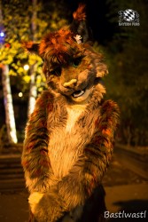 BFD10 0733 von Wachhund