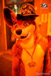 BFD10 0751 von Wachhund