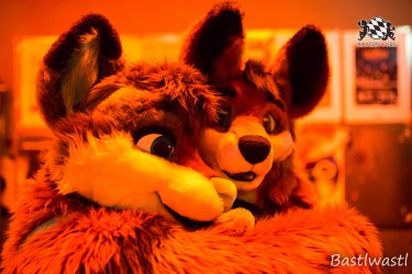 BFD10 0752 von Wachhund