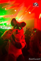 BFD10 0761 von Wachhund