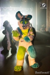 BFD10 0767 von Wachhund