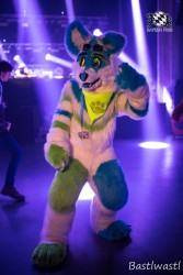 BFD10 0768 von Wachhund