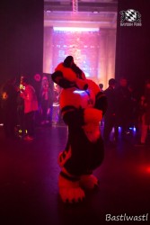 BFD10 0771 von Wachhund