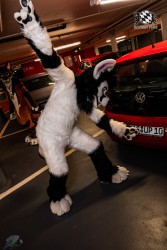 CGC2 0003 von Ryius Suitwalk