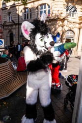 CGC2 0029 von Ryius Suitwalk