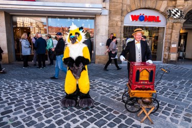 CGC2 0030 von Ryius Suitwalk