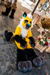 CGC2 0032 von Ryius Suitwalk