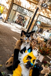 CGC2 0033 von Ryius Suitwalk