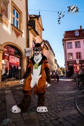 CGC2 0048 von Ryius Suitwalk