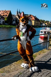 CGC2 0053 von Ryius Suitwalk