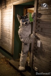 CGC2 0119 von Bastlwastl