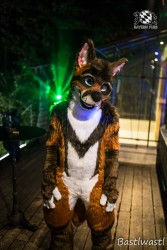 CGC2 0133 von Bastlwastl