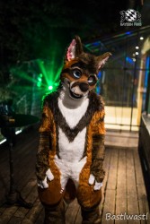 CGC2 0134 von Bastlwastl