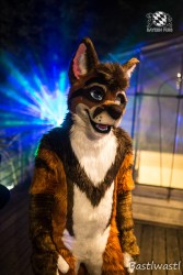 CGC2 0135 von Bastlwastl