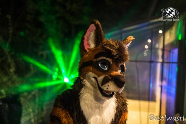 CGC2 0137 von Bastlwastl