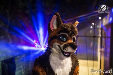 CGC2 0141 von Bastlwastl