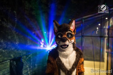 CGC2 0146 von Bastlwastl