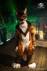 CGC2 0152 von Bastlwastl