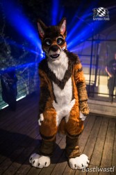 CGC2 0153 von Bastlwastl