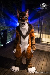 CGC2 0154 von Bastlwastl