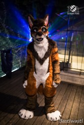 CGC2 0156 von Bastlwastl