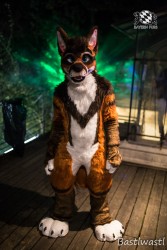 CGC2 0157 von Bastlwastl