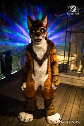 CGC2 0160 von Bastlwastl