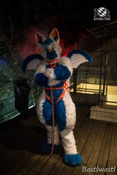 CGC2 0181 von Bastlwastl