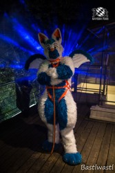 CGC2 0183 von Bastlwastl