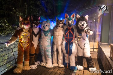 CGC2 0196 von Bastlwastl