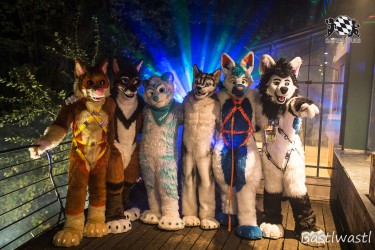 CGC2 0198 von Bastlwastl