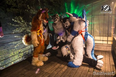 CGC2 0243 von Bastlwastl