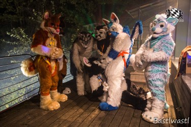 CGC2 0247 von Bastlwastl