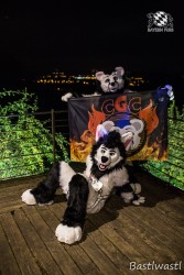 CGC2 0254 von Bastlwastl