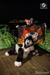 CGC2 0255 von Bastlwastl