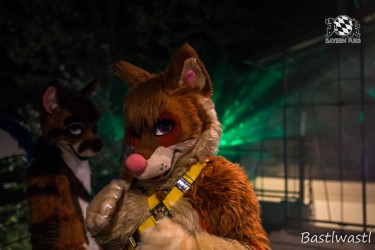 CGC2 0262 von Bastlwastl