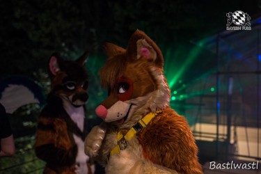 CGC2 0263 von Bastlwastl