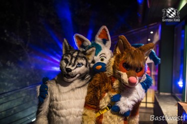 CGC2 0270 von Bastlwastl