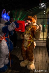 CGC2 0277 von Bastlwastl