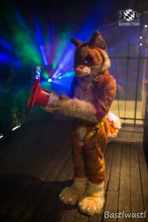 CGC2 0282 von Bastlwastl